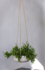Hanging Eileen Grau Blumenampel – Hängetopf in Grau aus Fiberclay