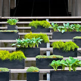 Balcony Balkonkasten Schwarz aus Fiberstone – Outdoor auf Balkon mit Pflanzen