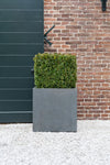 Eckiger Pflanzkübel Block Grau aus Fiberstone