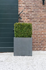 Block Pflanzkübel Grau aus Fiberstone – quadratischer Kübel im Lifestyle-Setting