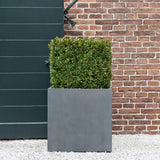 Block Pflanzkübel Grau aus Fiberstone – quadratischer Kübel im Lifestyle-Setting