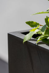 Bouvy Pflanzkübel Schwarz aus Fiberstone – Detailansicht