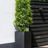 Bouvy Pflanzkübel Schwarz aus Fiberstone – Outdoor im Ambiente