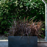Jort Pflanzkübel Schwarz aus Fiberstone – runder Kübel im Lifestyle-Setting