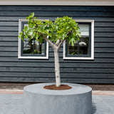 Seating Circle Sitzhocker & Pflanzkübel Grau aus Fiberstone – im Lifestyle-Setting