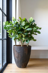 Bernd Oyster Imperial Braun Finestgreen 