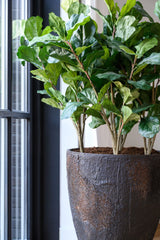 Bernd Oyster Imperial Braun Finestgreen 