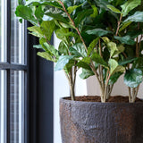 Bernd Oyster Imperial Braun Finestgreen 