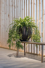 Orb Black Washed Pflanzkübel Schwarz – Lifestyle-Aufnahme