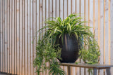 Orb Black Washed – Offenporige Fiberclay-Oberfläche in Beton-Optik
