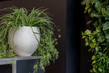 Orb Grey Washed Pflanzkübel Grau – Lifestyle-Aufnahme