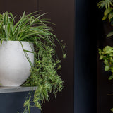 Orb Grey Washed Pflanzkübel Grau – Lifestyle-Aufnahme