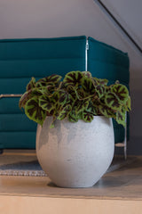 Orb Grey Washed – Offenporige Fiberclay-Oberfläche in Beton-Optik || Offenporige Oberfläche