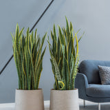 Patt Grey Washed Pflanzkübel Grau || Abgebildete Größe: XXL