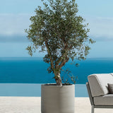 Jumbo Charlie Grey Washed Finestgreen || Abgebildete Größe: XS