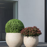 Jumbo Orb Pflanzkübel Grey Washed aus Fiberstone – Kugelform im Lifestyle-Setting