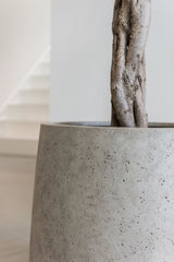 Jumbo Patt Pflanzkübel Grey Washed aus Fiberstone – Oberflächen-Detailansicht