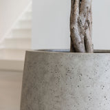 Jumbo Patt Pflanzkübel Grey Washed aus Fiberstone – Oberflächen-Detailansicht