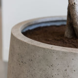 Jumbo Patt Pflanzkübel Grey Washed aus Fiberstone – mit Außenbepflanzung