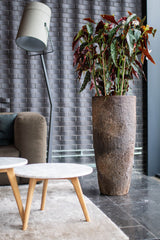 Dax Oyster Imperial Braun Finestgreen 