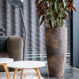 Dax Oyster Imperial Braun Finestgreen 