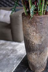 Dax Oyster Imperial Braun Finestgreen 