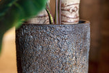 Dax Oyster Imperial Braun Finestgreen 