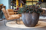 Pottery Pots Jesslyn Oyster in Imperial Braun, showcasing its unique shape and rich brown color.