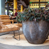 Pottery Pots Jesslyn Oyster in Imperial Braun, showcasing its unique shape and rich brown color.
