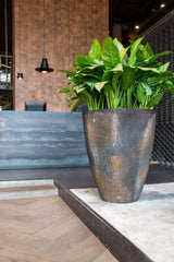 Hugo Oyster Imperial Braun Finestgreen 