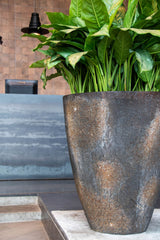 Hugo Oyster Imperial Braun Finestgreen 