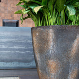 Hugo Oyster Imperial Braun Finestgreen 
