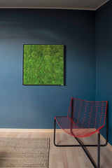 Moosbild Ballenmoos 80x80 cm Finestgreen 