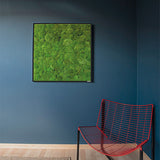 Moosbild Ballenmoos 80x80 cm Finestgreen 