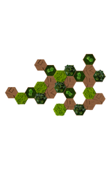 Kork-Hexagon Set, 25er Set Finestgreen [mc]
