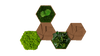 Kork-Hexagon Set, 5er Set