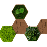 Kork-Hexagon Set, 5er Set - Finestgreen [mc]