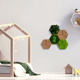 Kork-Hexagon Set, 5er Set - Finestgreen