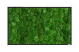 Moosbild Ballenmoos 100x60 cm Finestgreen 