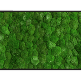 Moosbild Ballenmoos 100x60 cm Finestgreen 