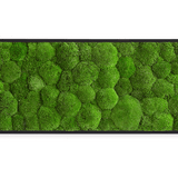 Moosbild Ballenmoos 140x40 cm Finestgreen 