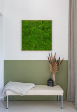 Moosbild Ballenmoos 80x80 cm Finestgreen 