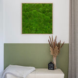 Moosbild Ballenmoos 80x80 cm Finestgreen 