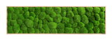 Moosbild Ballenmoos 140x40 cm Finestgreen 