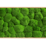 Moosbild Ballenmoos 140x40 cm Finestgreen 