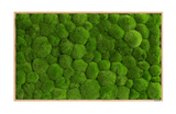 Moosbild Ballenmoos 100x60 cm Finestgreen 