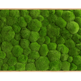 Moosbild Ballenmoos 100x60 cm Finestgreen 