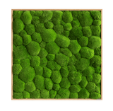 Moosbild Ballenmoos 80x80 cm Finestgreen 