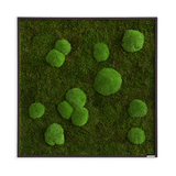 Moosbild Wald- und Ballenmoos 80x80 cm Finestgreen 