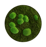 Moosbild ELLIPSOID Wald- und Ballenmoos Finestgreen 